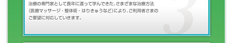 治療の専門家として長年に渡って学んできた、さまざまな治療方法（医療マッサージ・整体術・はりきゅうなど）により、ご利用者さまのご要望に対応していきます。